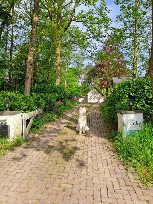 Lanke Garden Studio Rijsbergen Εξωτερικό φωτογραφία